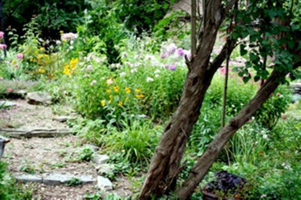 Apartment Burley's Executive Garden Peterborough