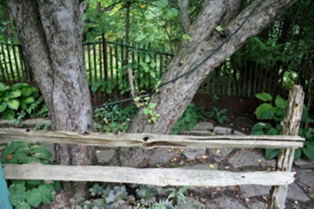Burley's Executive Garden
